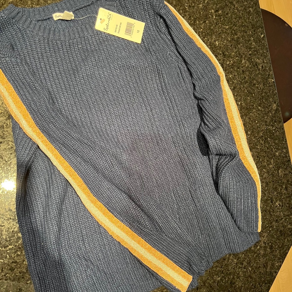 Splendid sweater